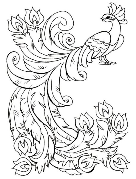 Жар птица раскраска для детей