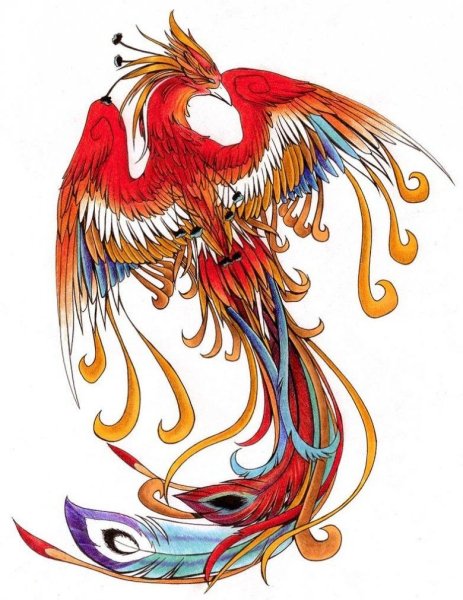 Фэнхуан Феникс