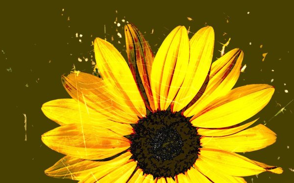 Рисунки жёлтого цвета