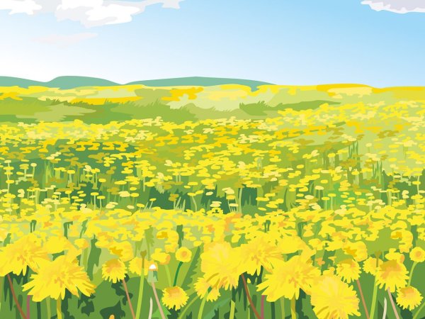 Поле рисунок