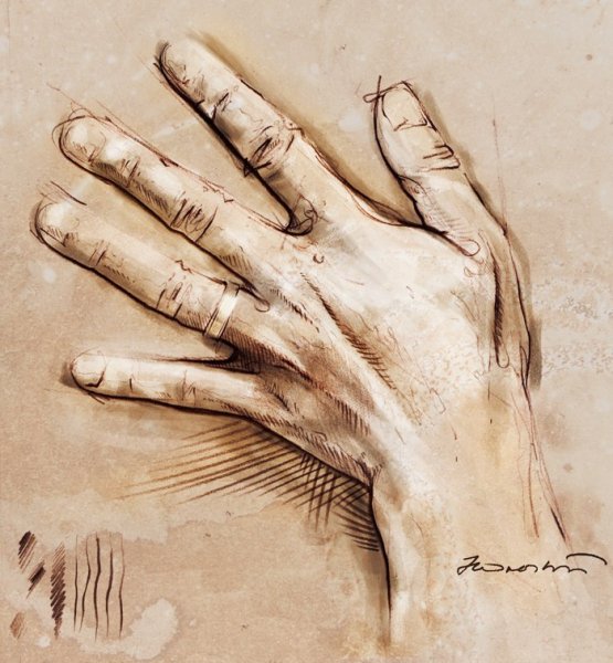 Кисть руки рисунок