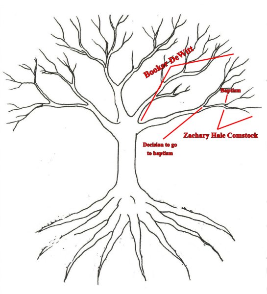 Дерево с корнями раскраска