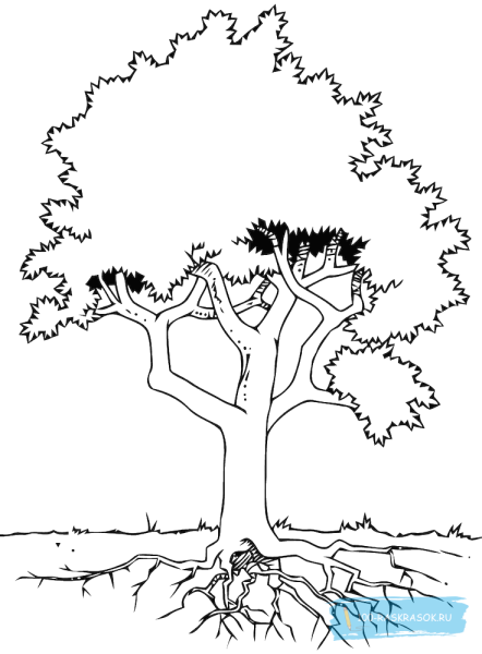 Дерево раскраска