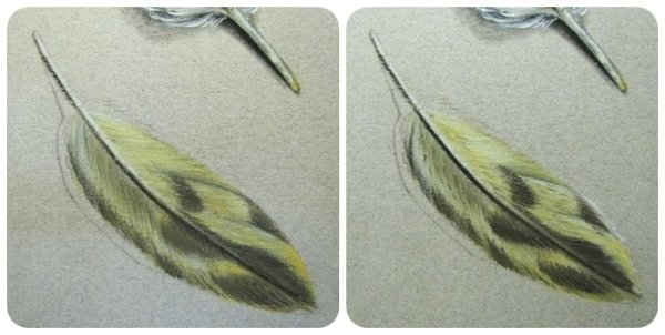 Перо пастелью