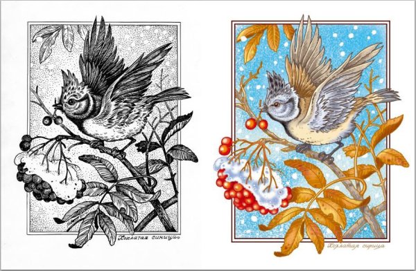 Птицы тушью и пером