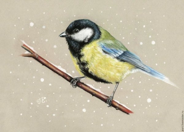 Утиное перо