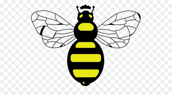 Силуэт Крылья пчелы