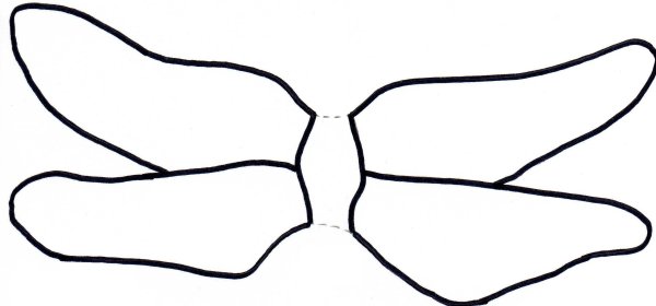 Крылья Стрекозы шаблон
