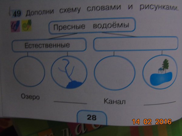 Дополни схему словами и рисунками
