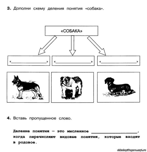 Деление понятий Информатика 4 класс
