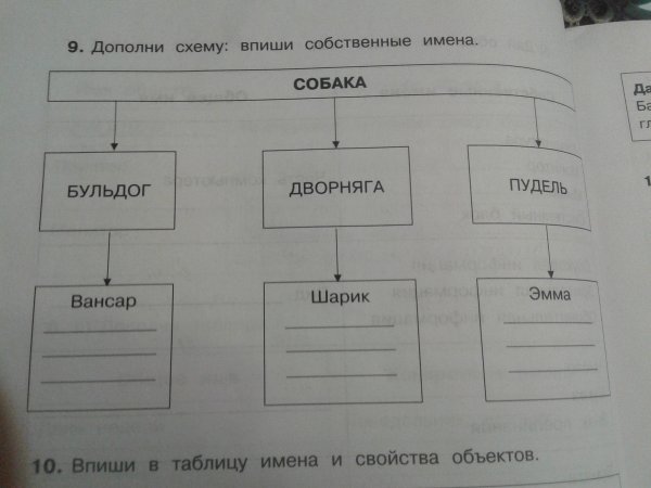 Дополни схему