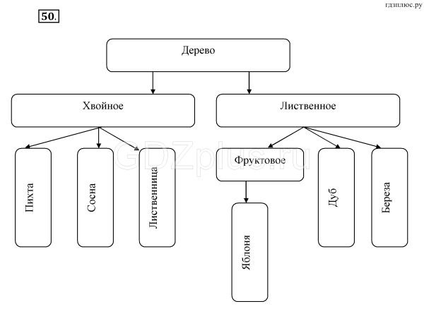 Схема по информатике 6 класс объект