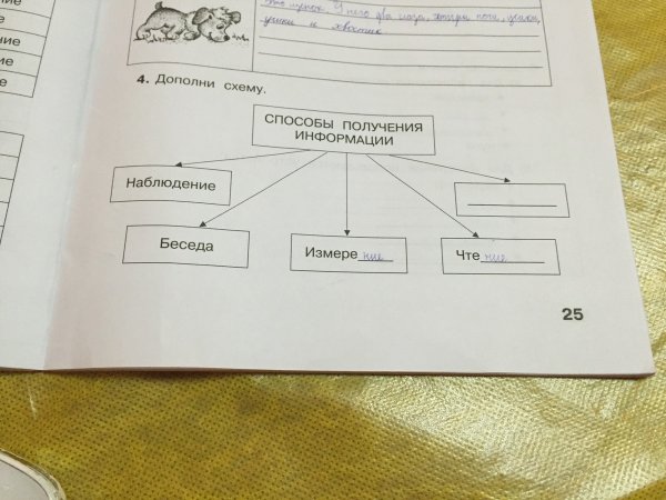 Дополните схему