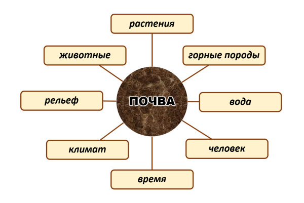 Процесс почвообразования схема
