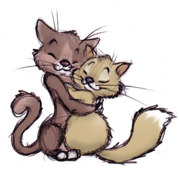 Кавайные котики парочка