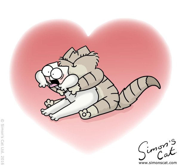 Кот Саймон любовь