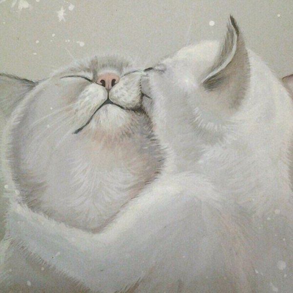 Кот обниму мультяшный