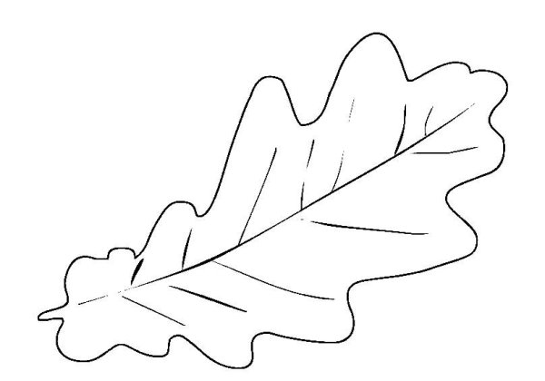 Дубовый лист трафарет