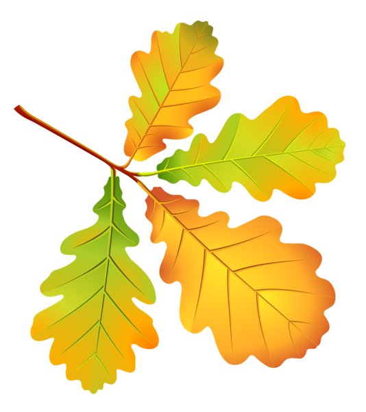 Дубовый листок