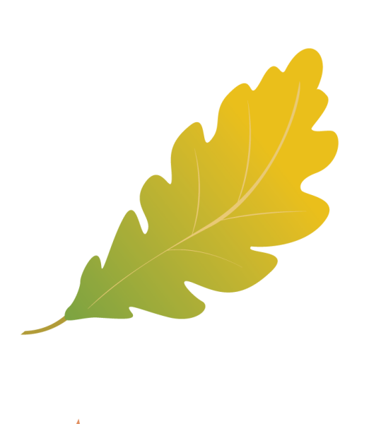 Лист дуба раскраска