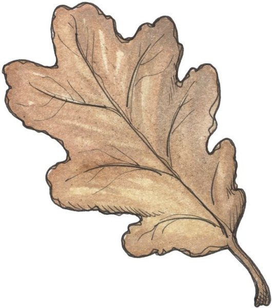 Лист дуба трафарет