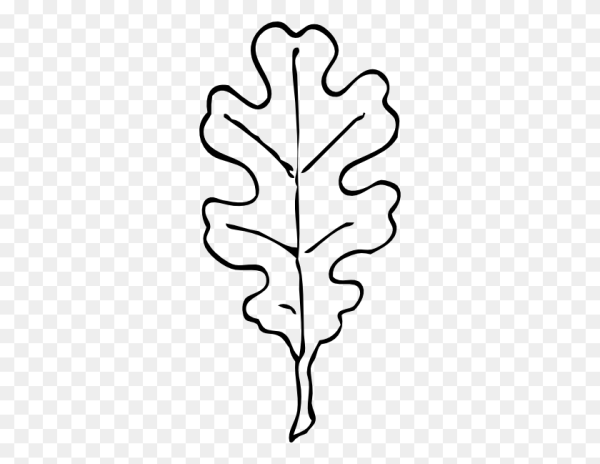 Лист дуба раскраска для детей