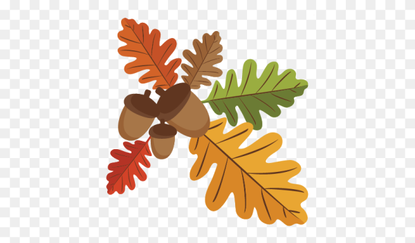 Дуб дерево листья