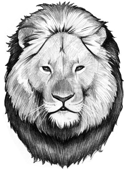 Мордочка Льва