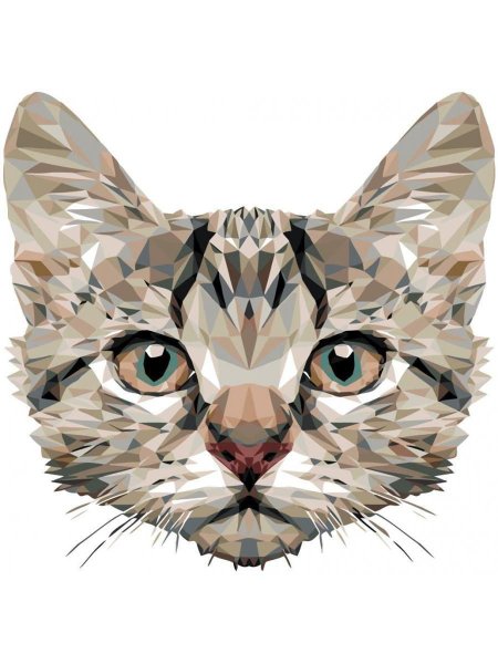 Морда кошки арт