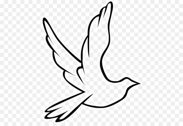 Птицы для срисовки легкие