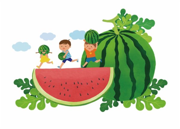 Детям про Арбуз в детском саду