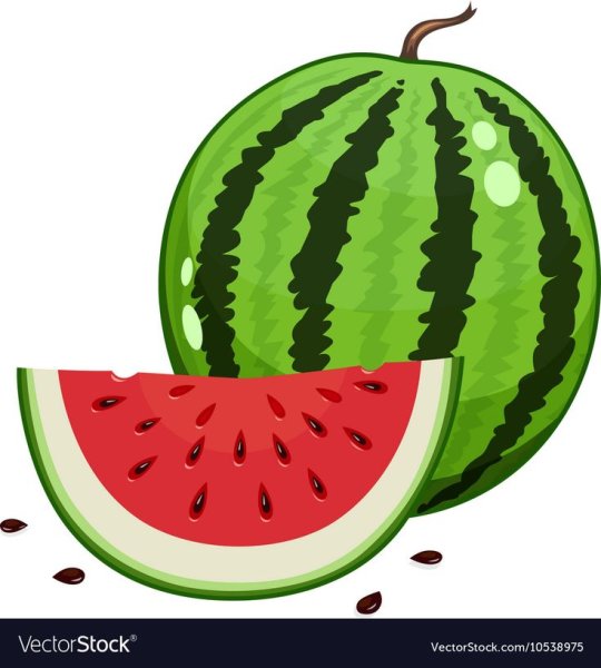 Арбуз для детей