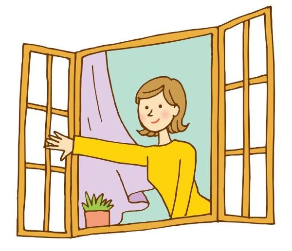 Окно вектор