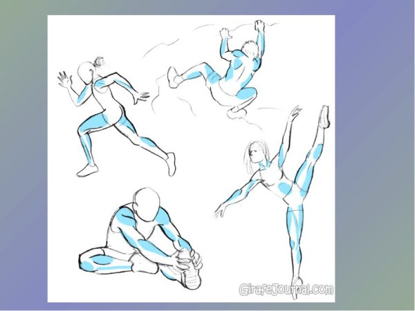 Баскетбол рисунок