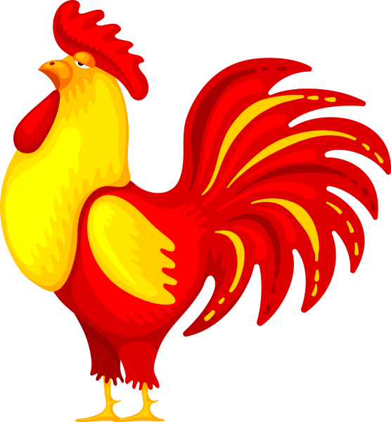 Петух на белом фоне картинки