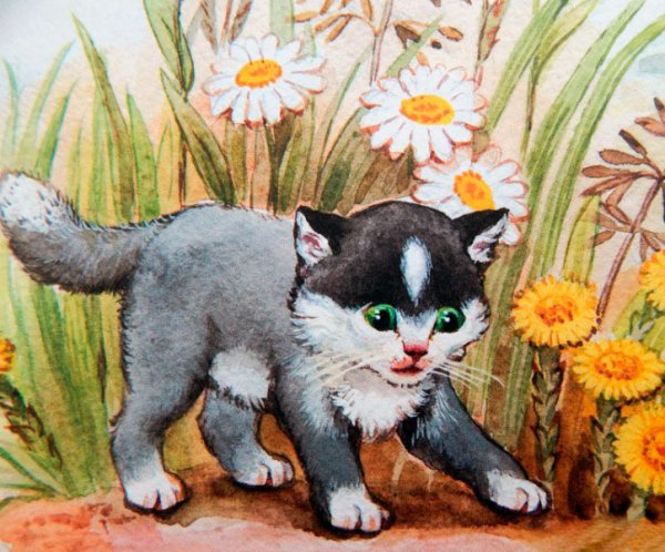 Иллюстрации к рассказу котенок Льва Николаевича Толстого