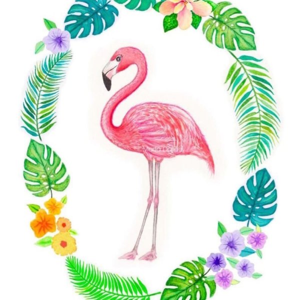 Пейзаж с Фламинго