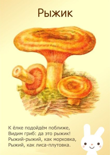 Гриб Рыжик для детей