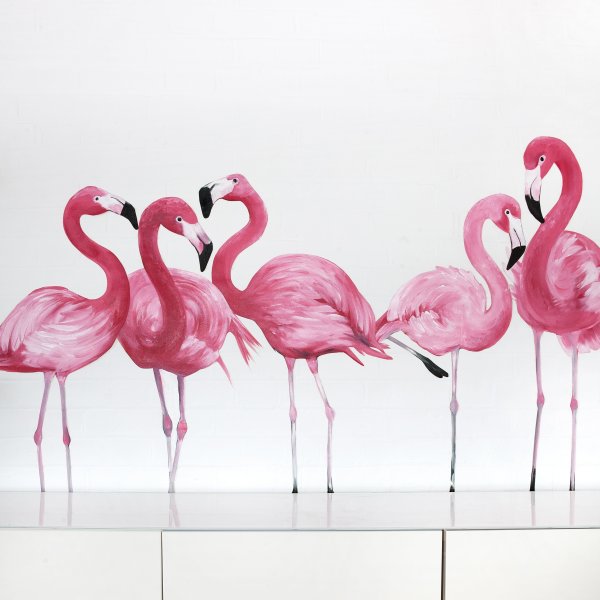 Фламинго правополушарное