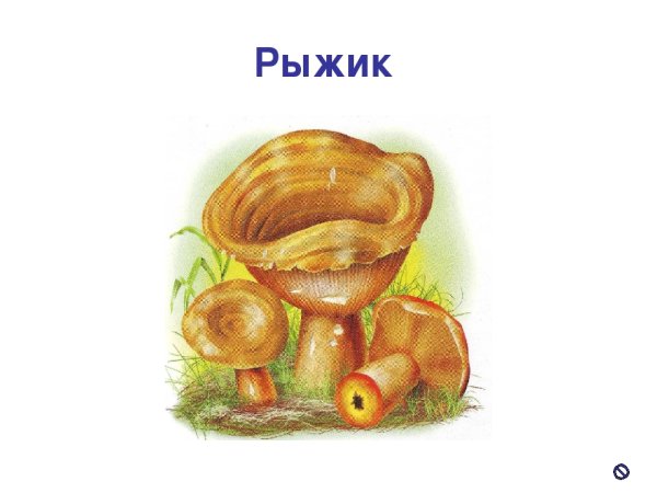 Гриб Рыжик для детей
