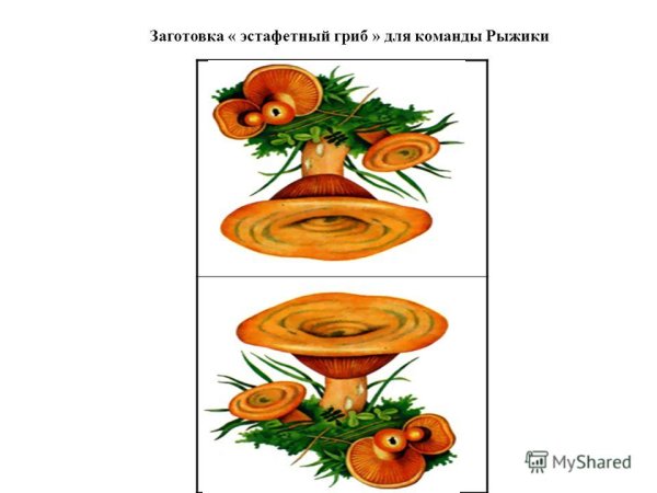 Эмблема грибы для команды