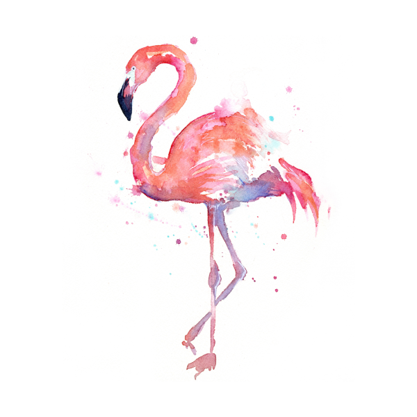 Фламинго для срисовки