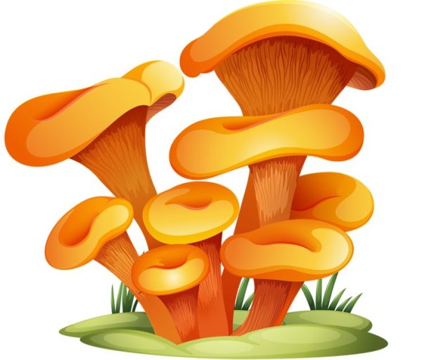 Опята мультяшные