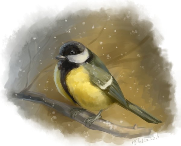 Нарисовать синицу