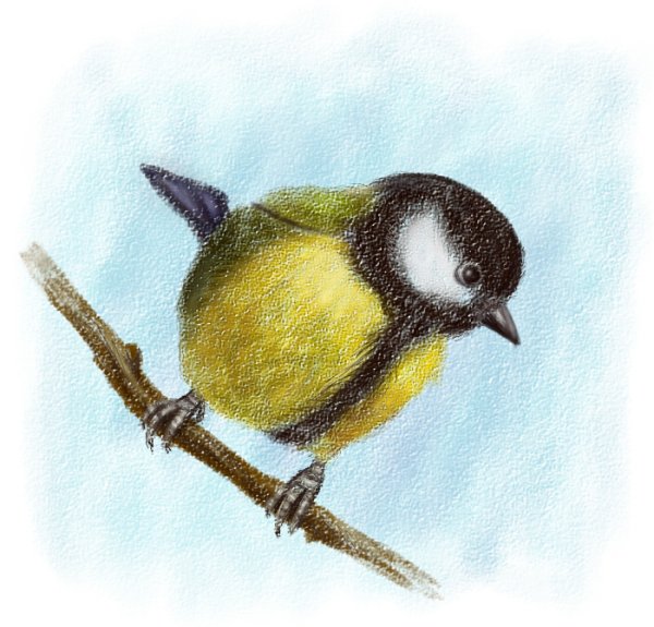 Нарисовать синицу