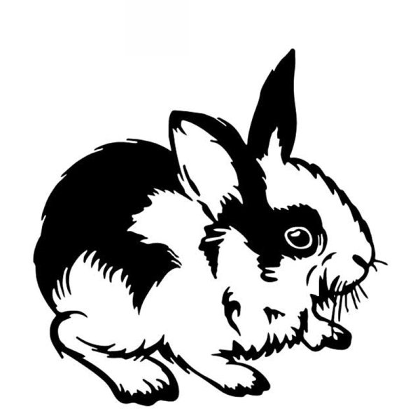 Тень зайчика