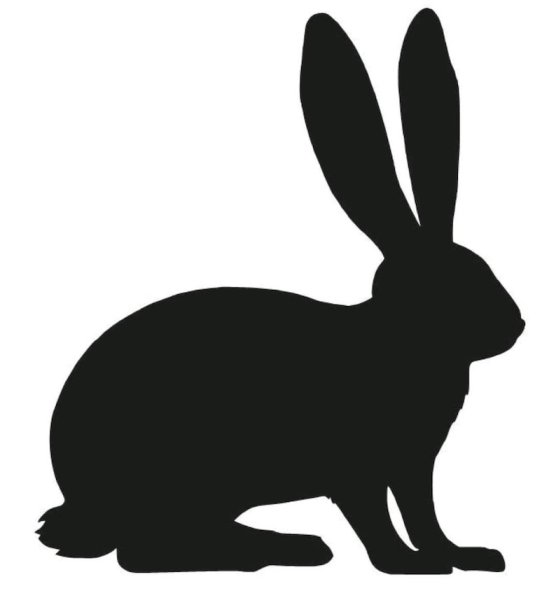 Векторное изображение кролика