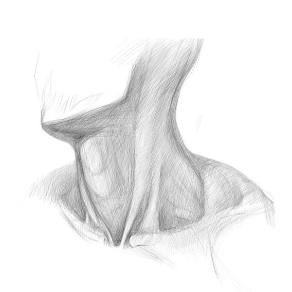 Шея карандашом