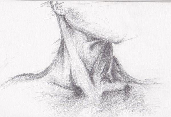 Зарисовки шеи