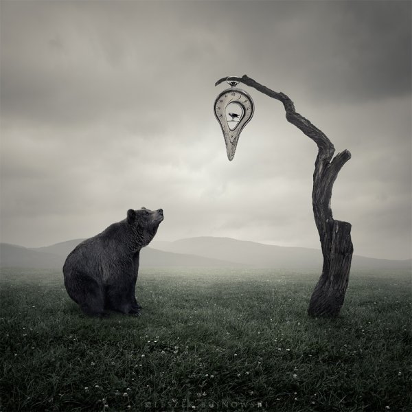Лешек Буйновский (Leszek Bujnowski)